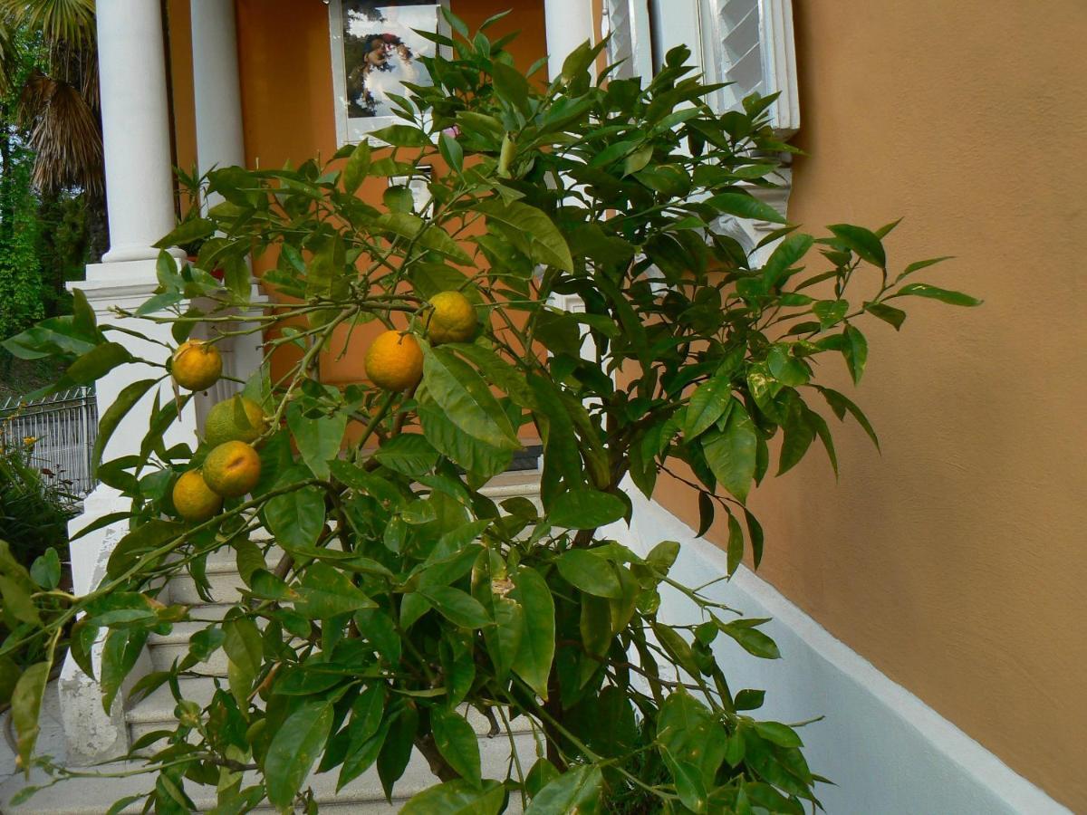 أوربينو B&B Aquilone المظهر الخارجي الصورة