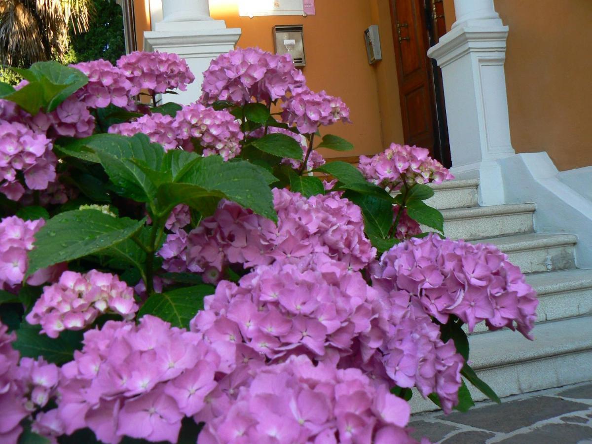 أوربينو B&B Aquilone المظهر الخارجي الصورة
